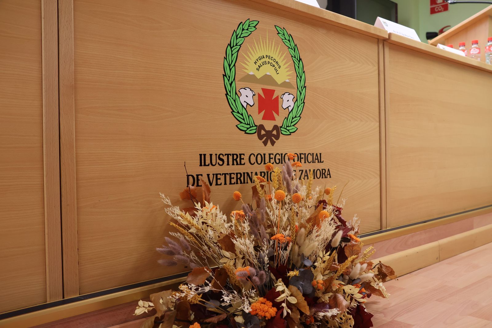 Acto por San Francisco de Asís en el Colegio de Veterinarios de Zamora (1)