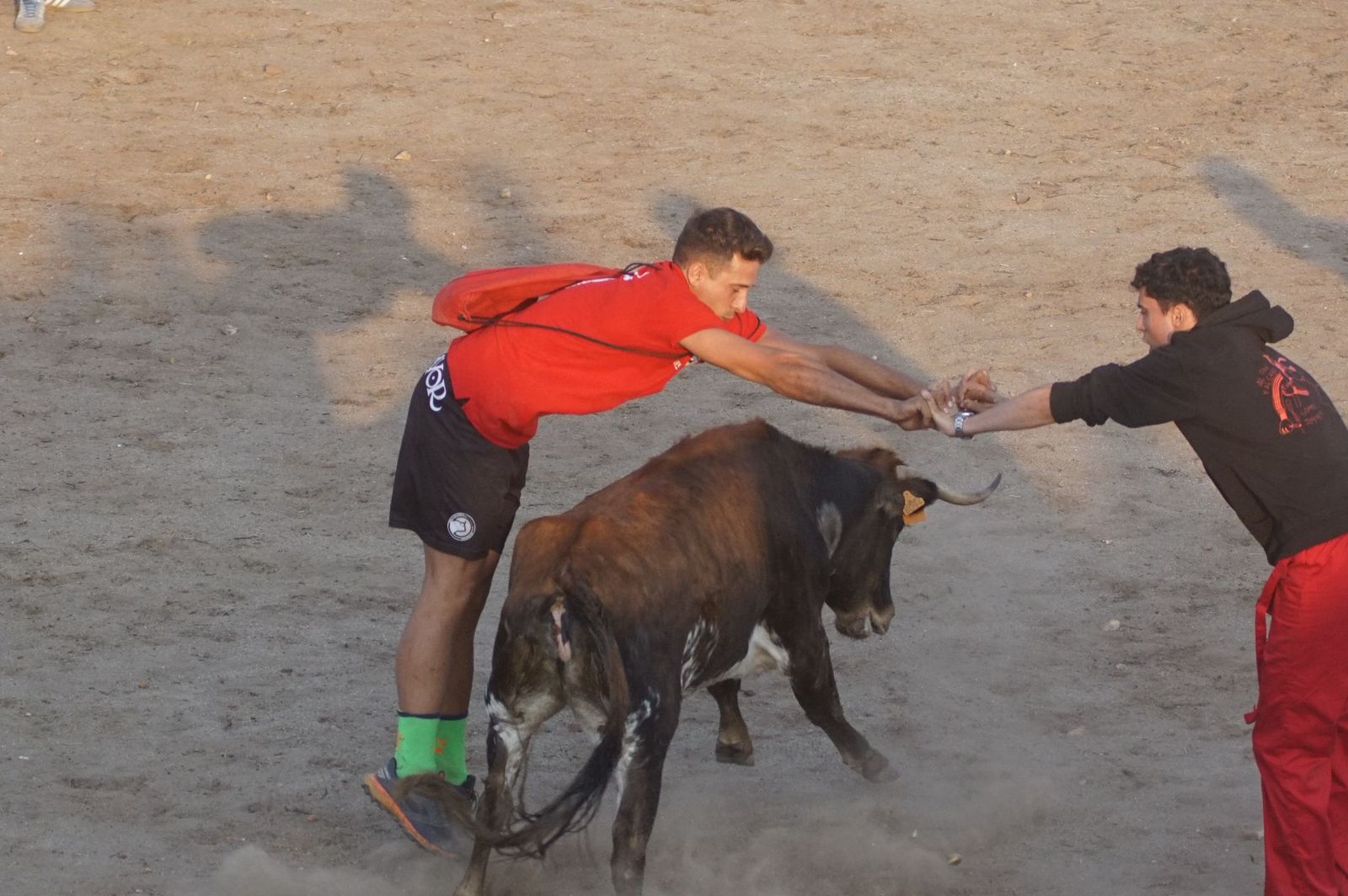 Carreras, risas y tradición: así se ha vivido El Toro en Santa Marta