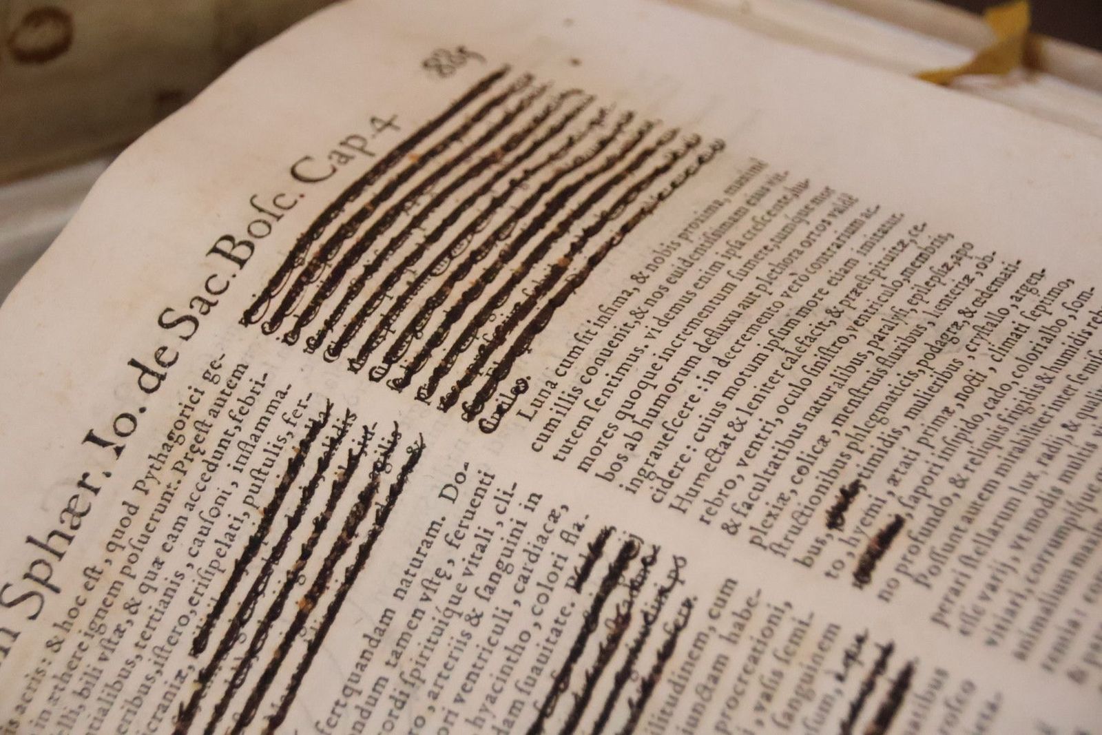 20231005114031-img-1366