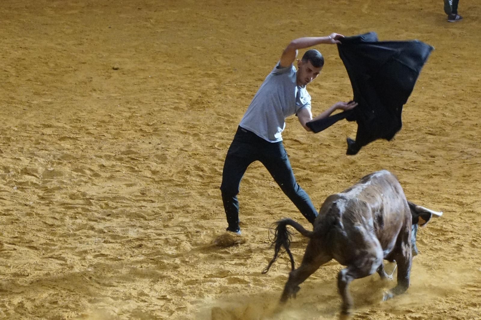 Encierro y capea en Alba de Tormes