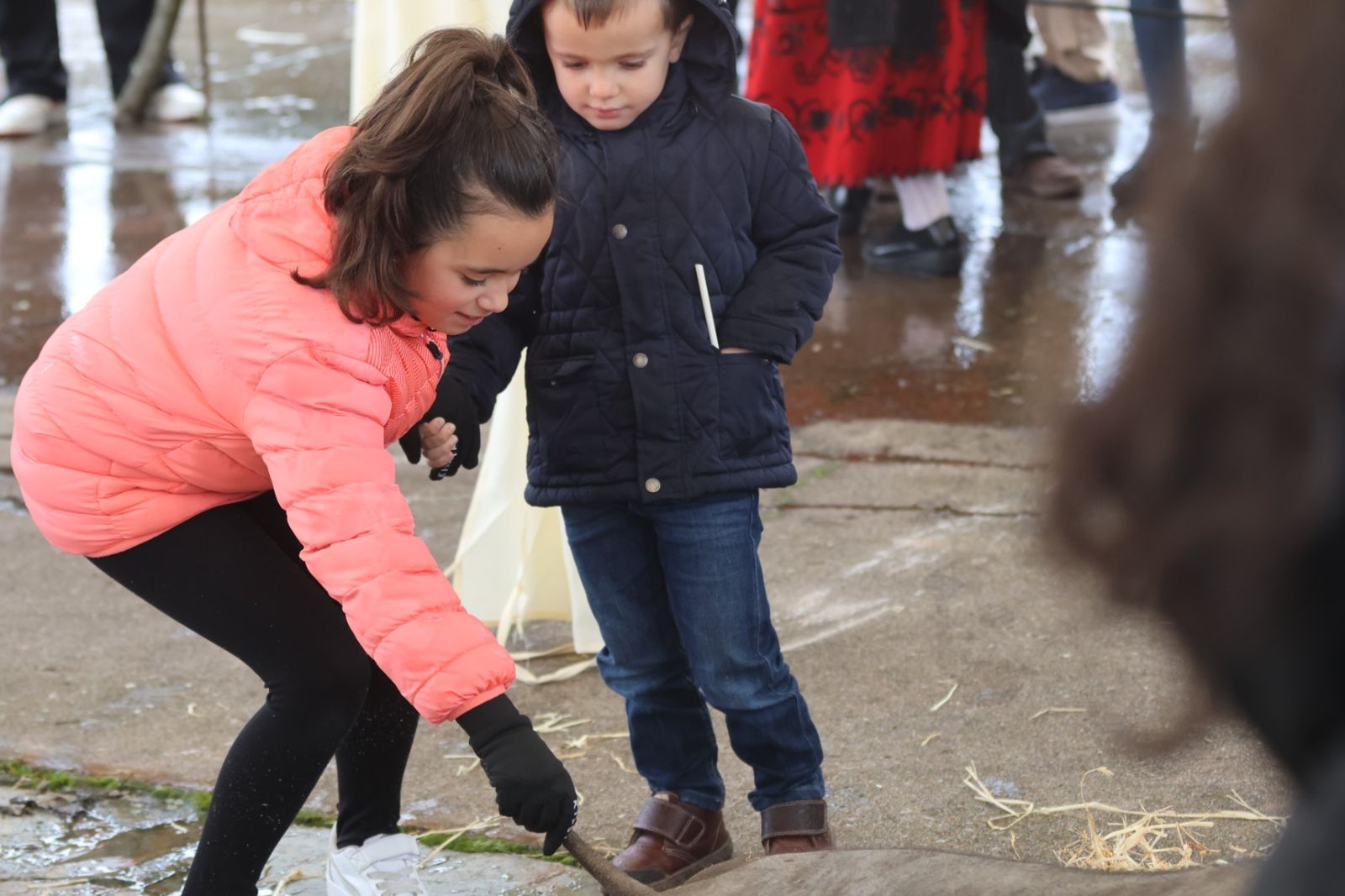 Matanza Típica de Guijuelo