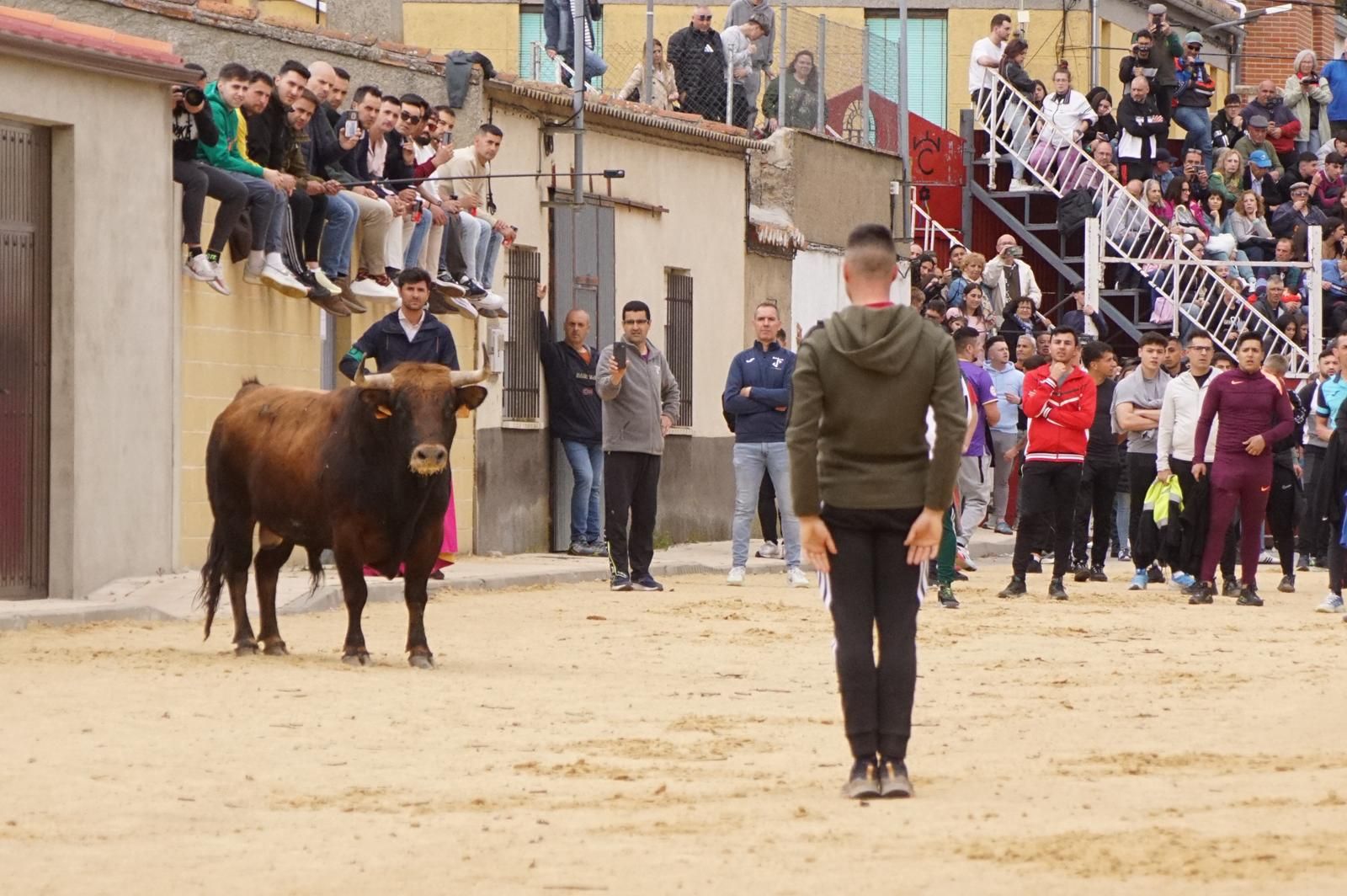 Villoria, toro del Voto