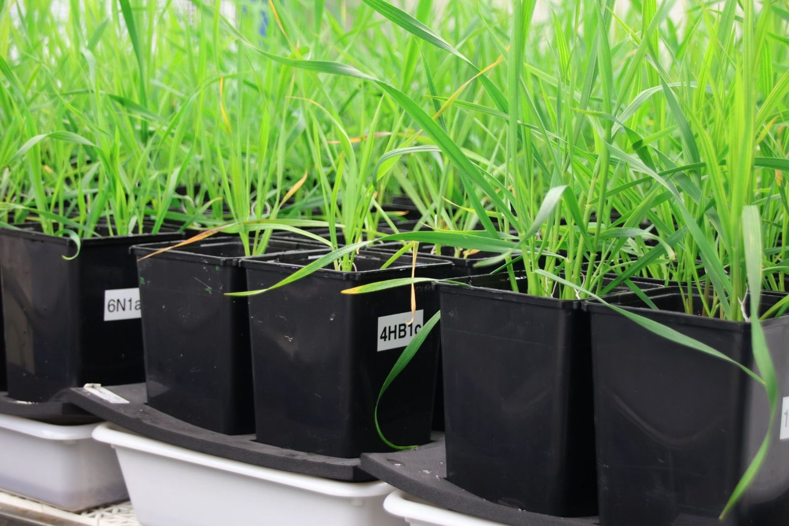 20240308103636-img-9422