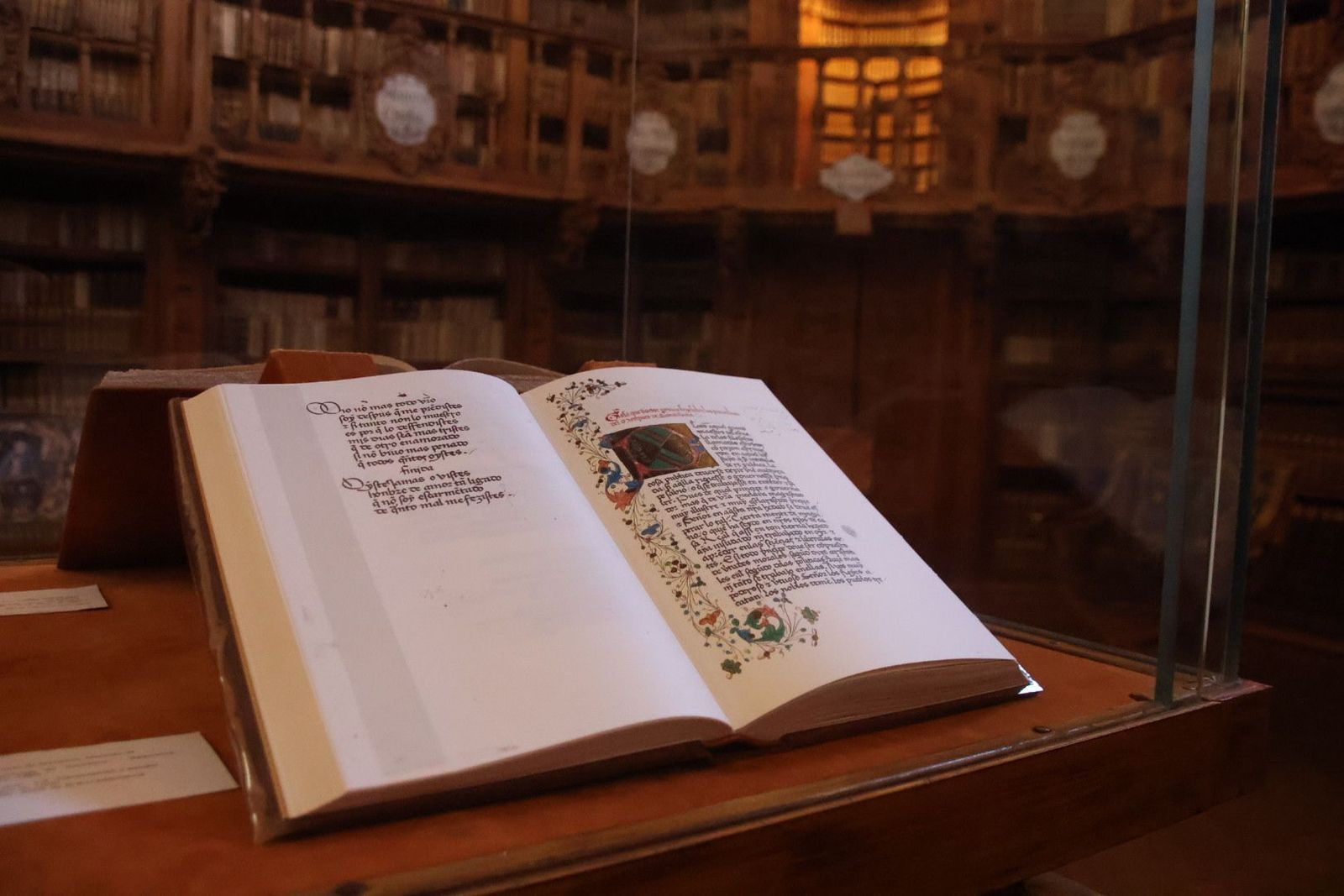 20231005103951-img-1259