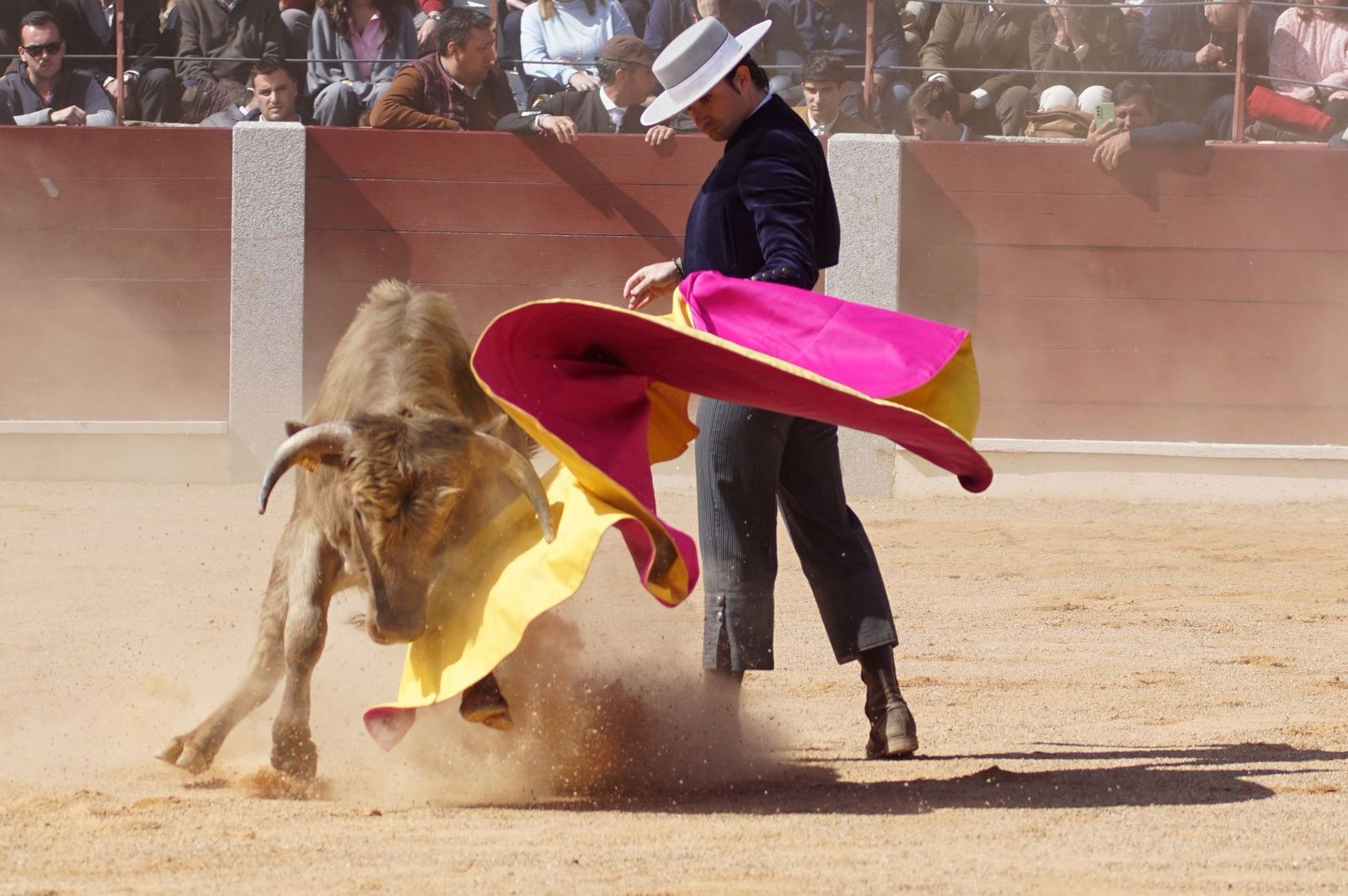 Festival taurino solidario por la esclerosis múltiple en Guijuelo