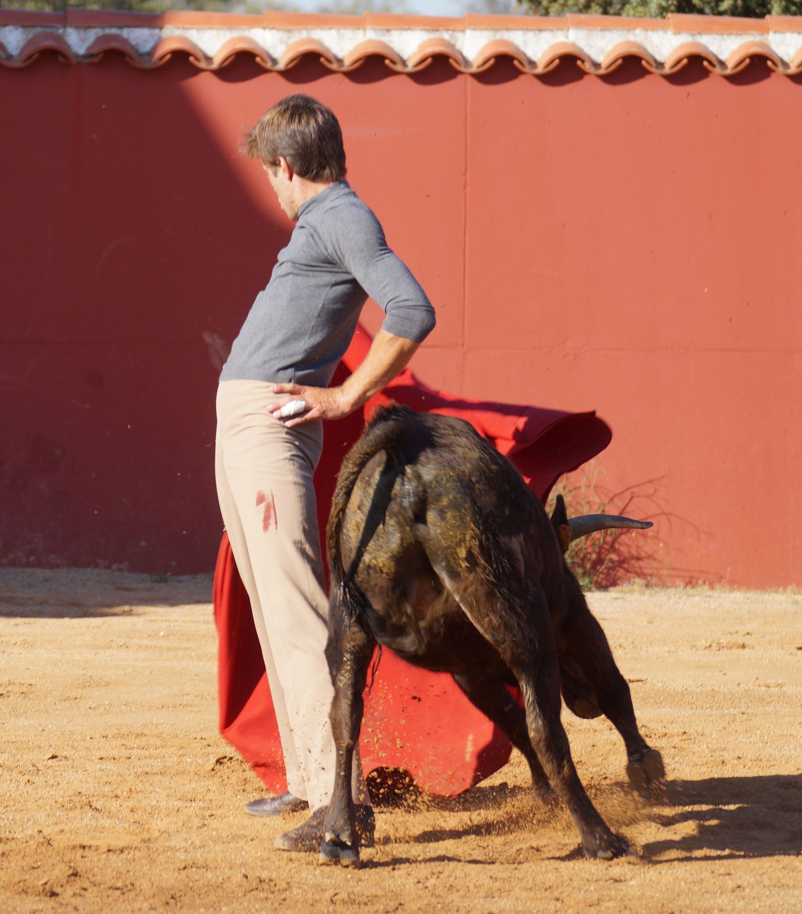 juan-leal-torero-5