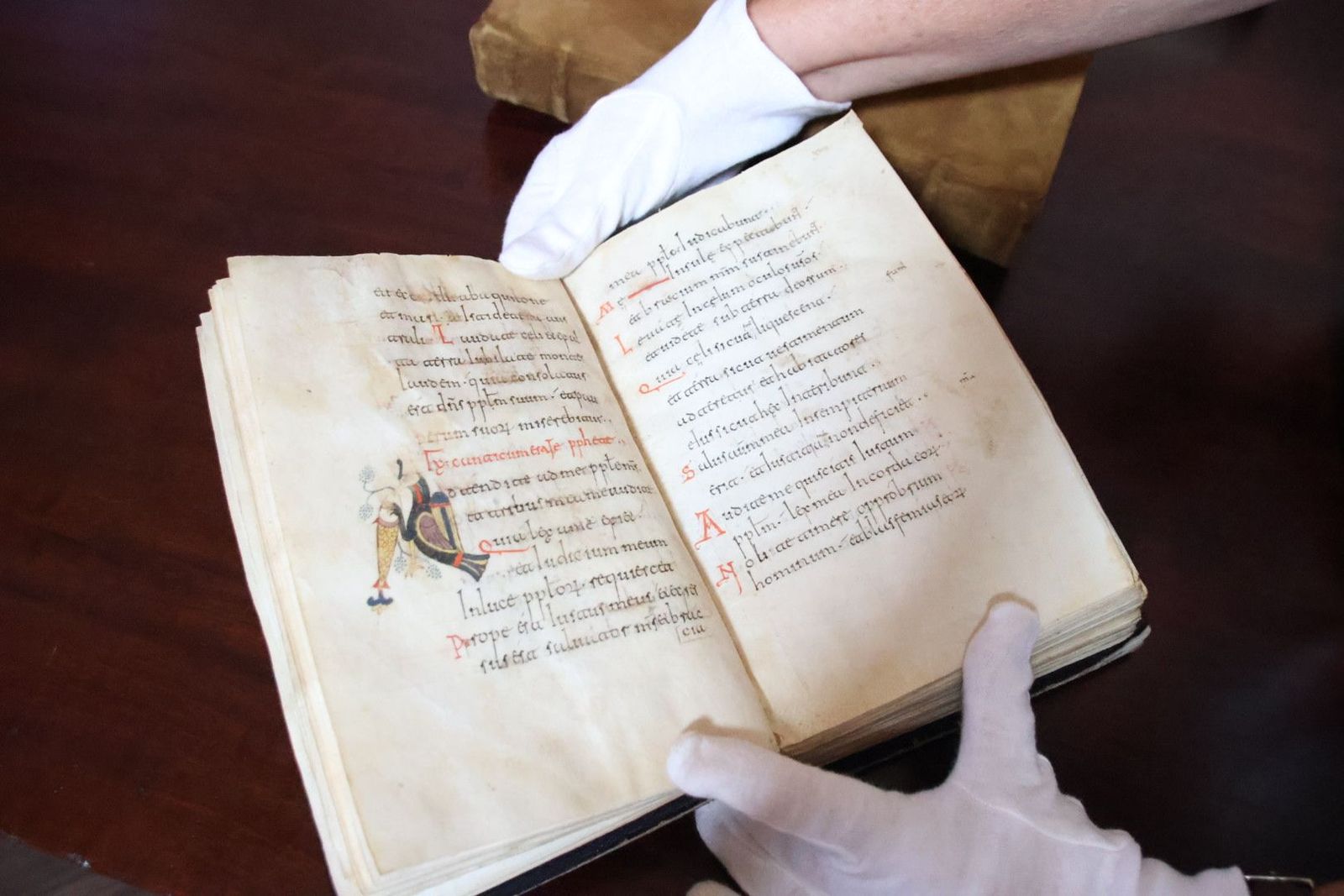 20231005105845-img-1289