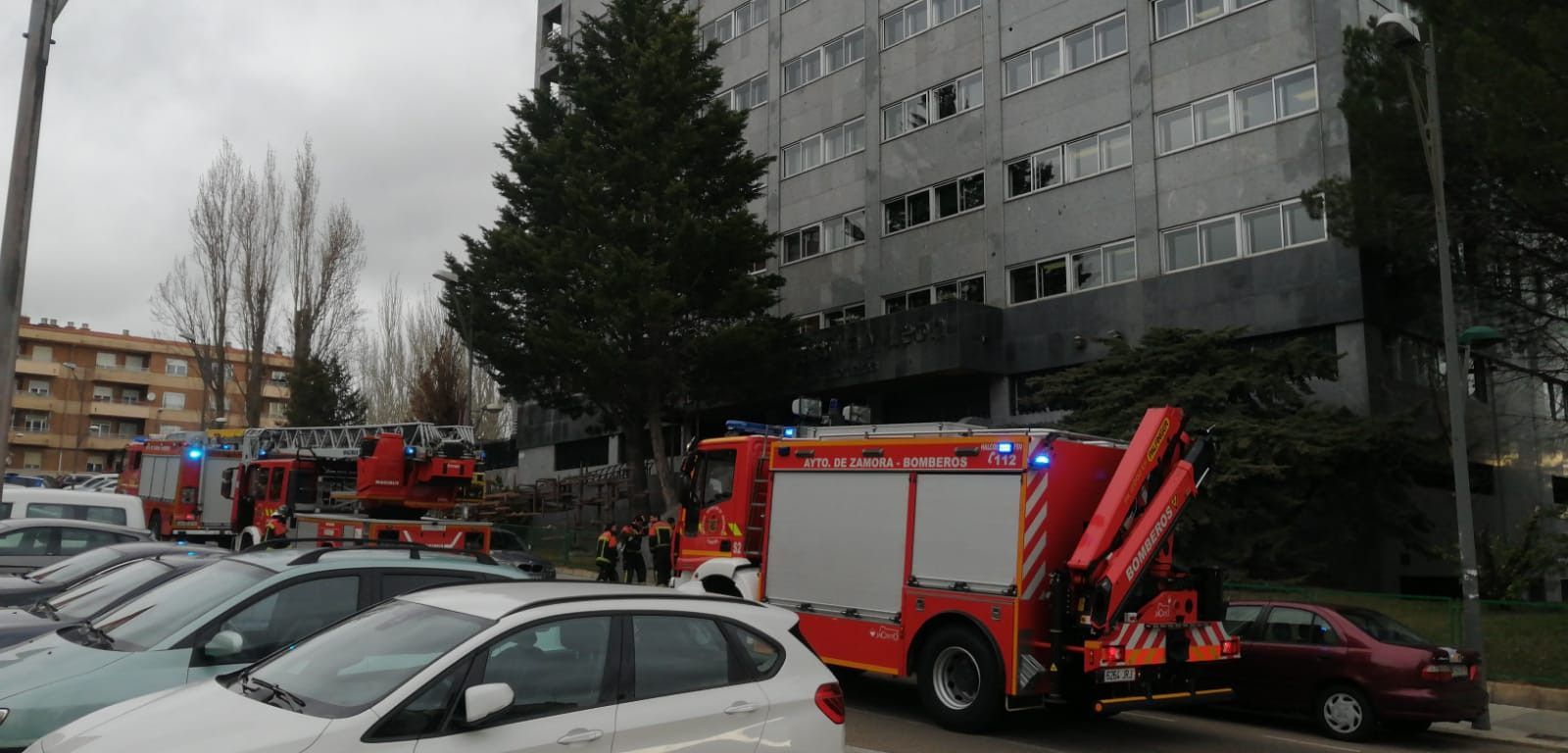 WhatsApp Image 2020 02 13 at 10.42.23