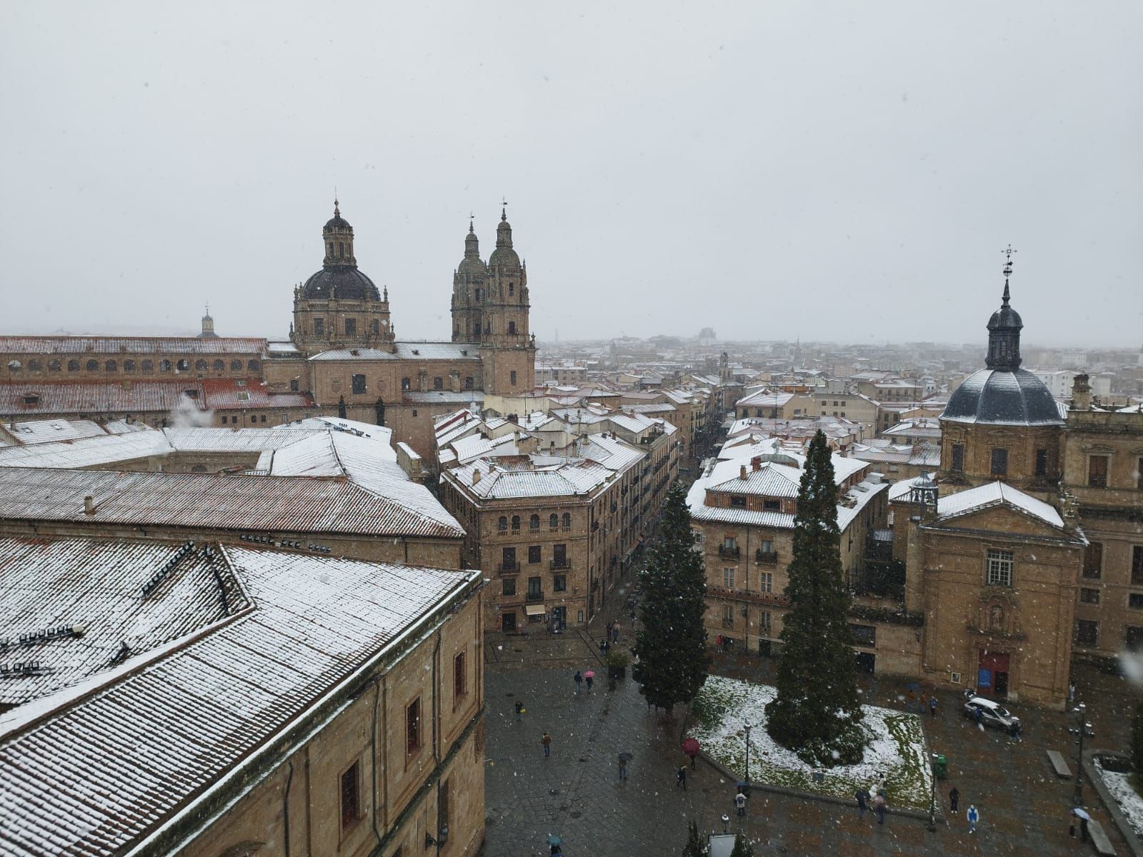 nieve-en-la-zona-de-la-catedral-jueves-23-de-febrero-6