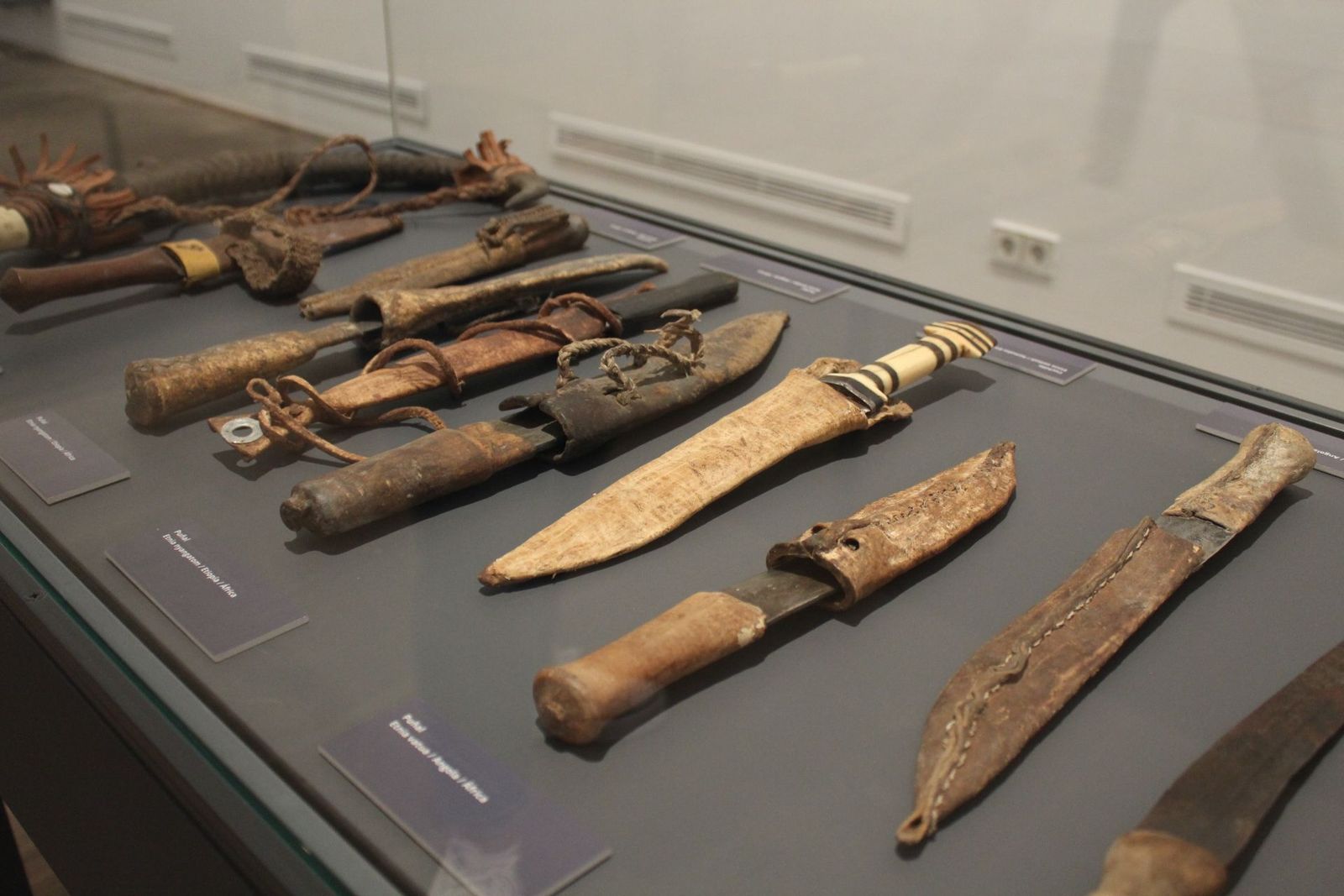 El rector de la universidad inaugura la exposición "Los universales culturales"