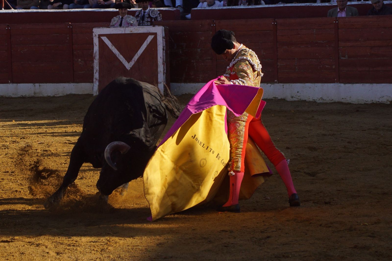 novillada-con-picadores-en-villoria-82