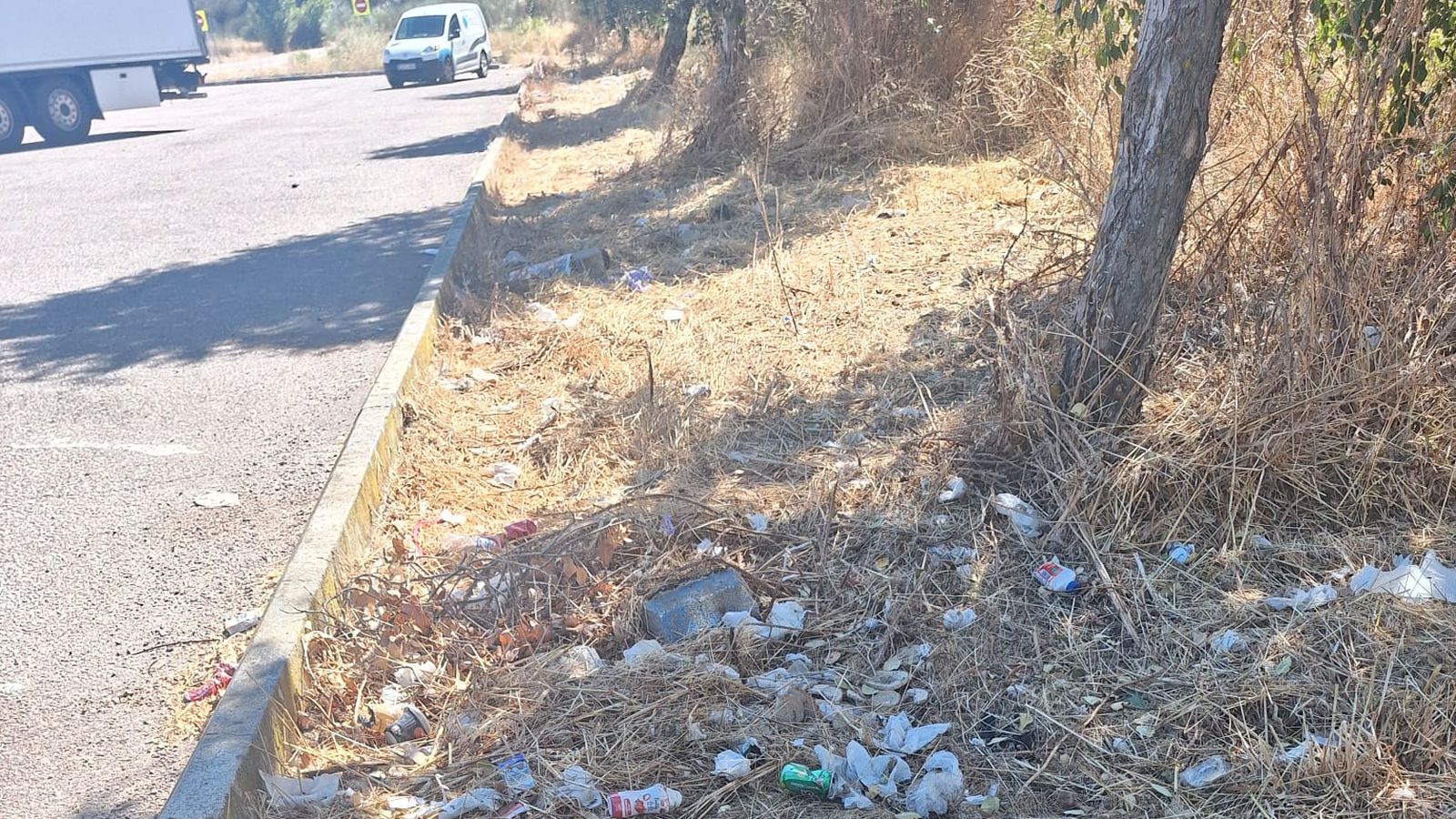 Basura en una área de descanso Basura en una área de descanso