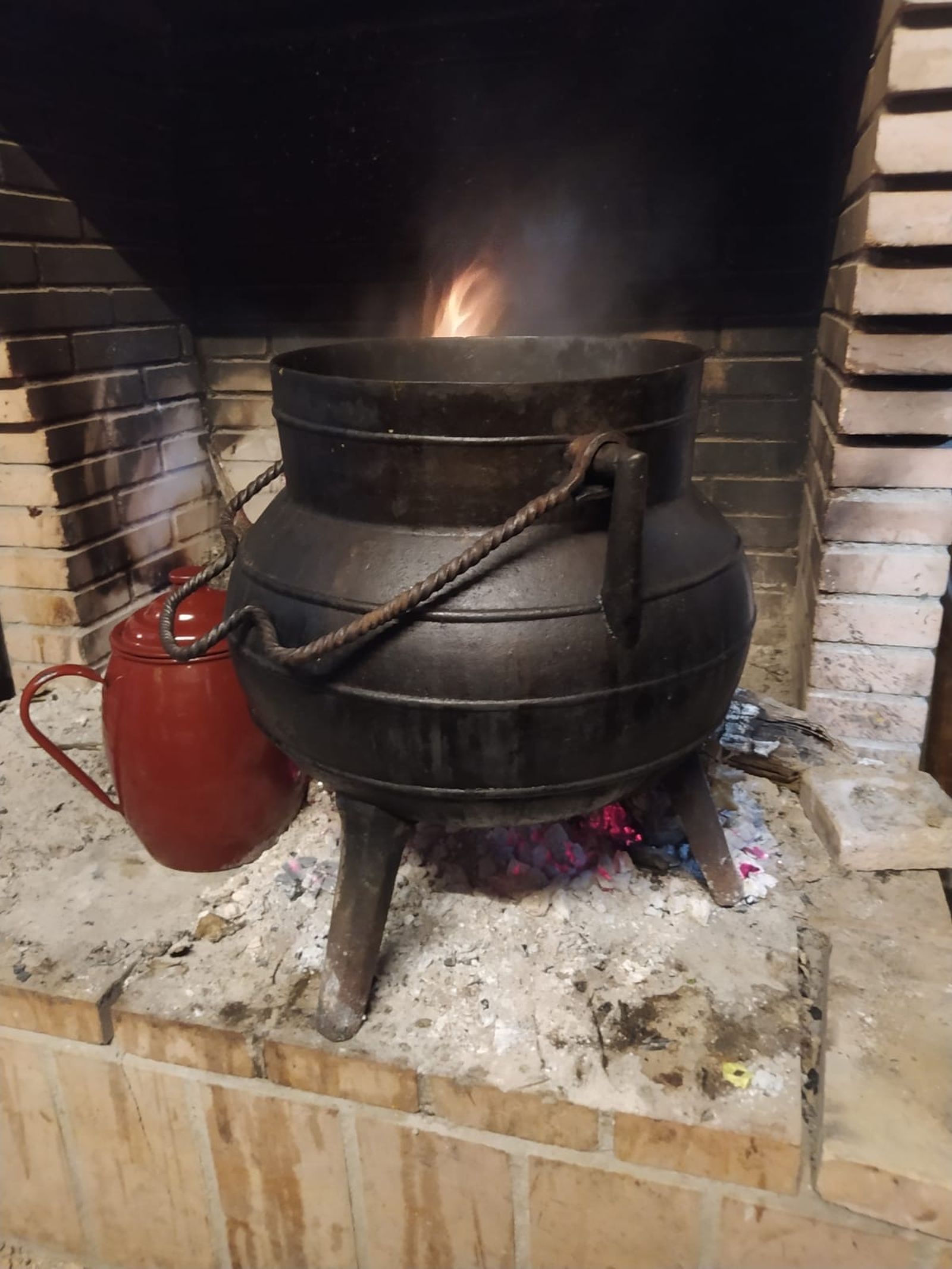 Una alubiada para combatir la helada