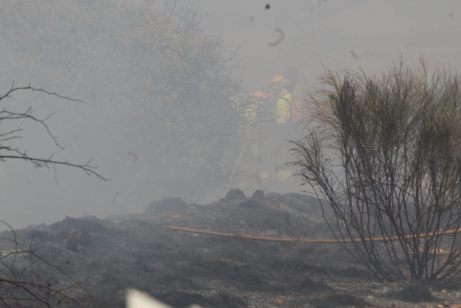 whatsapp-image-2024-09-02-at-14-28-40-1