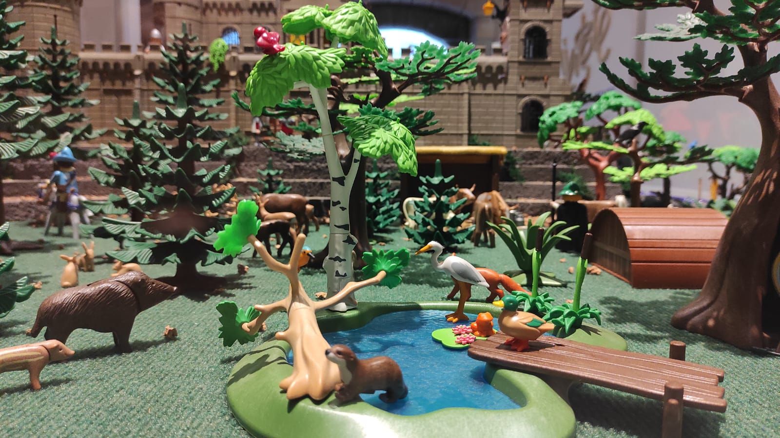 whatsapp-image-2023-12-01-at-10-20-11-5