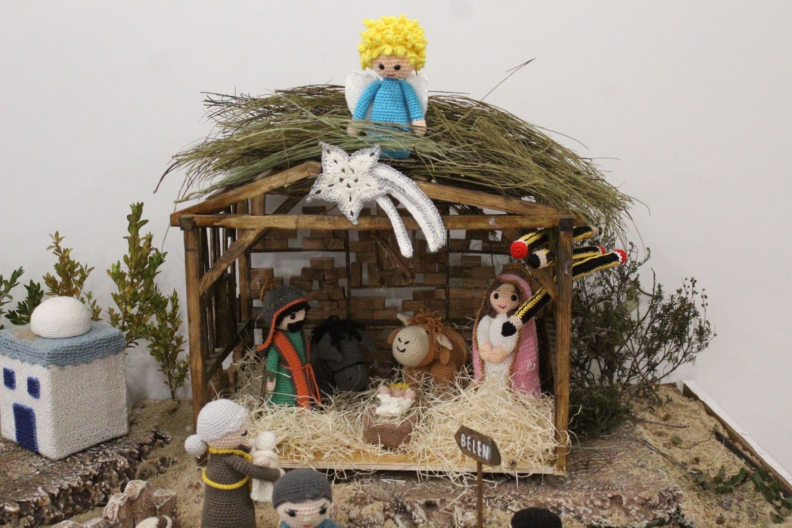 20231205185613-img-6586