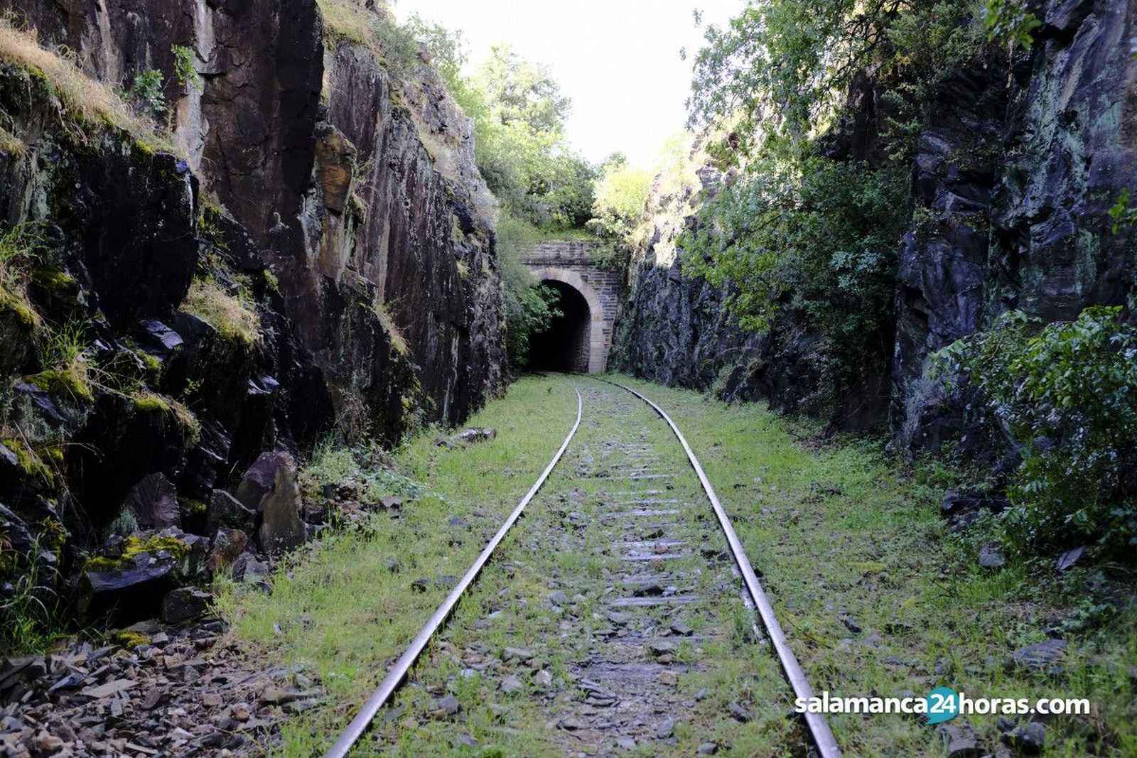 El Camino de Hierro cierra el túnel de los murciélagos durante tres meses