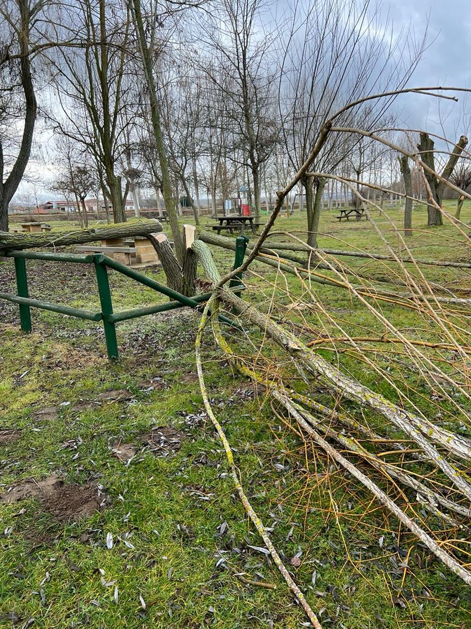 whatsapp-image-2024-01-04-at-13-16-41-2