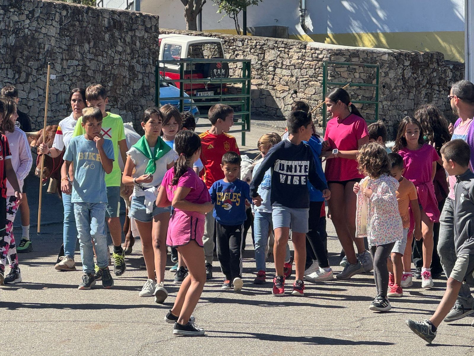 Encierro de mini bueyes en el último día de fiestas en Aldeadávila de la Ribera