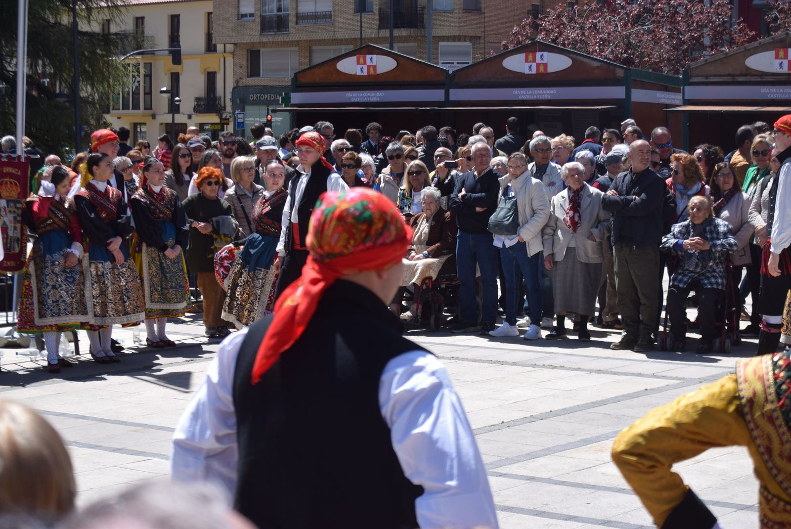 actuacion-dona-urraca-en-la-marina-8