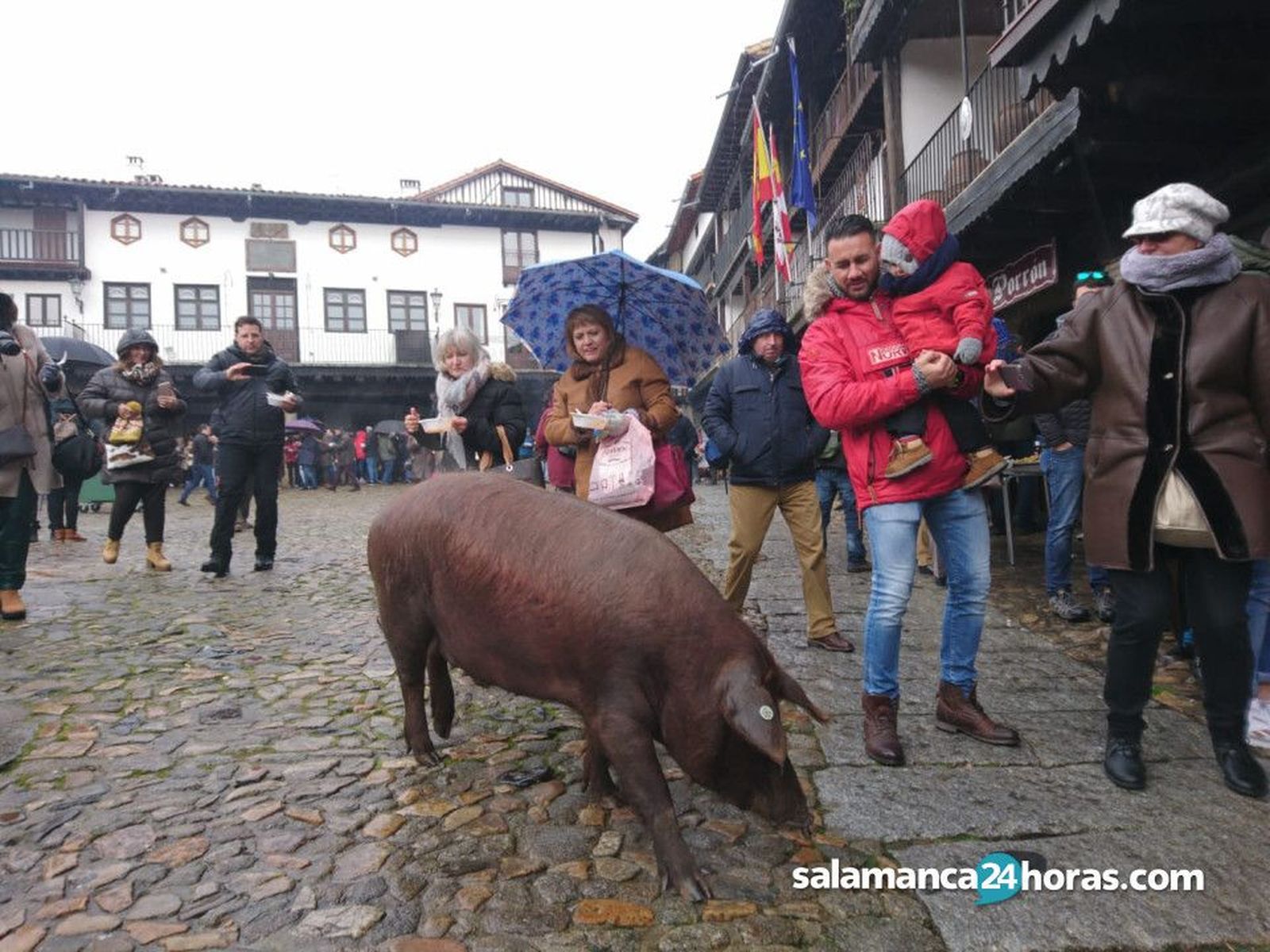 MARRANO DE SAN ANTON
