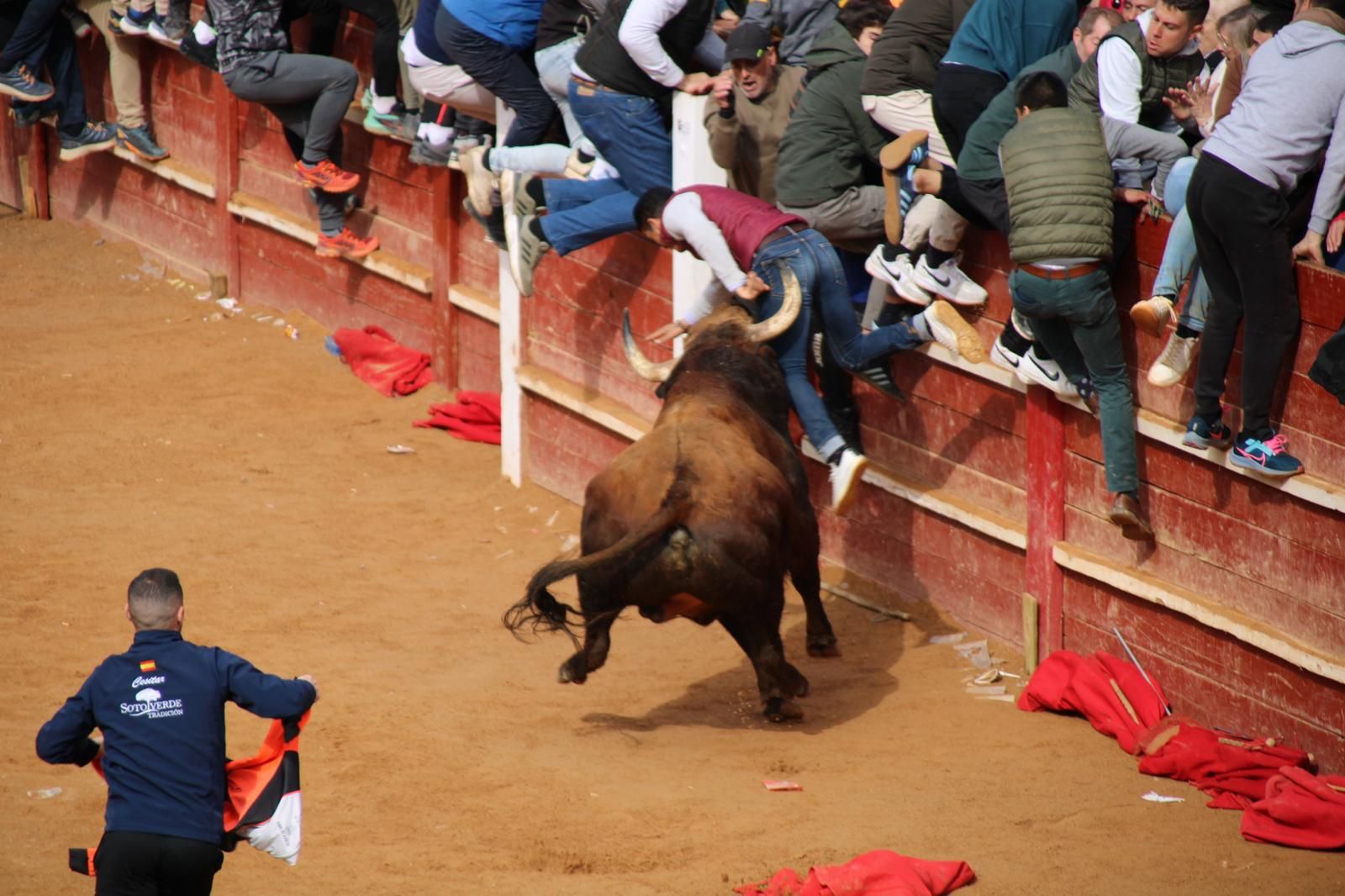 Momento de una de las cogida al maletilla Sandoval. Fotos Salamanca24horas.com