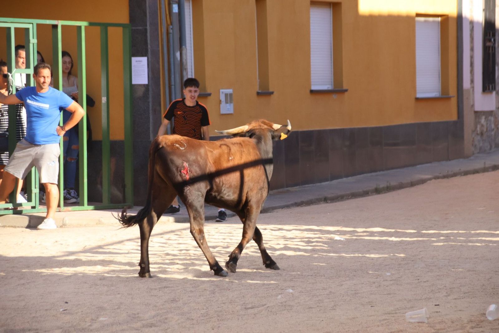 20240817183423-img-4446