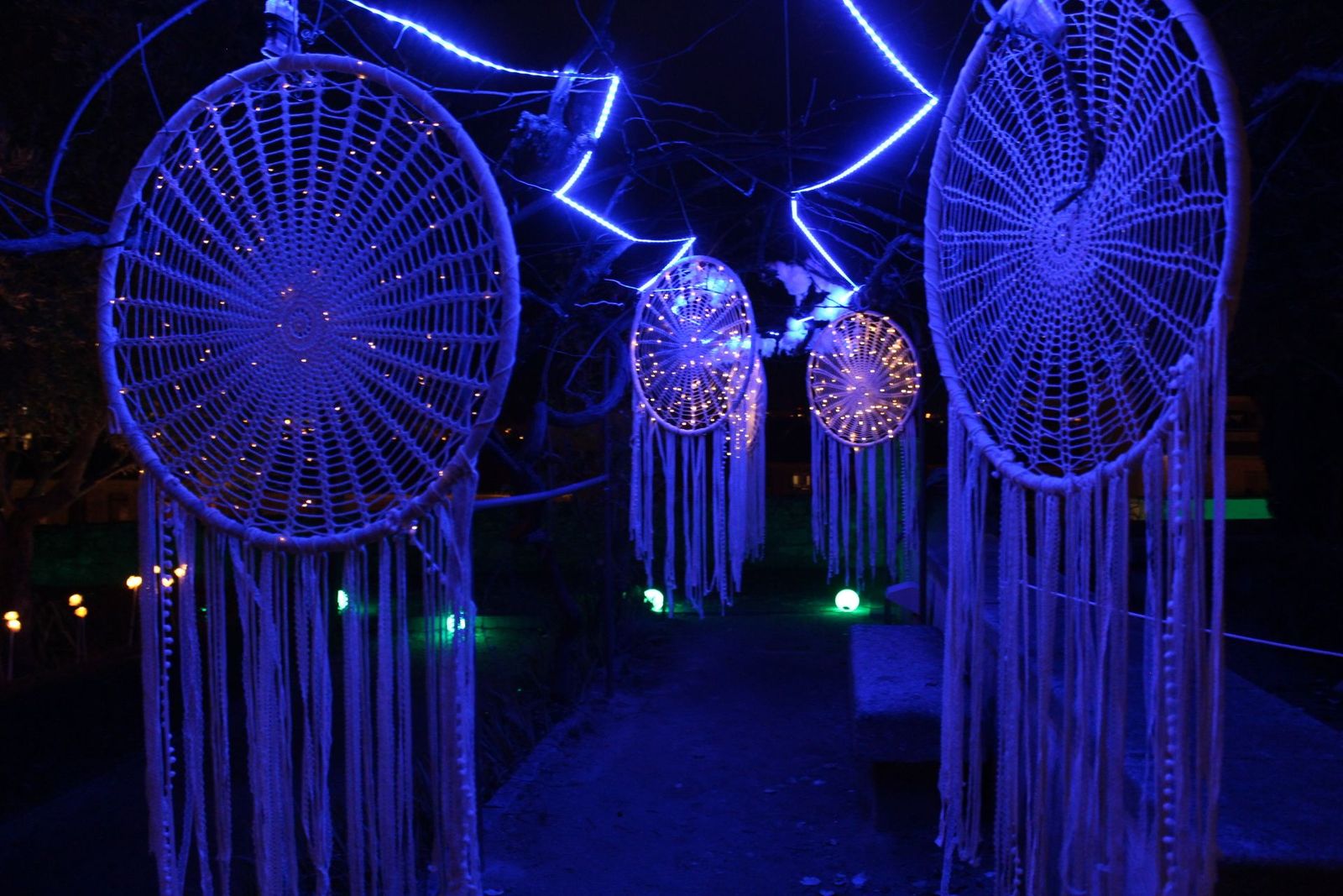 20231204213136-img-6429