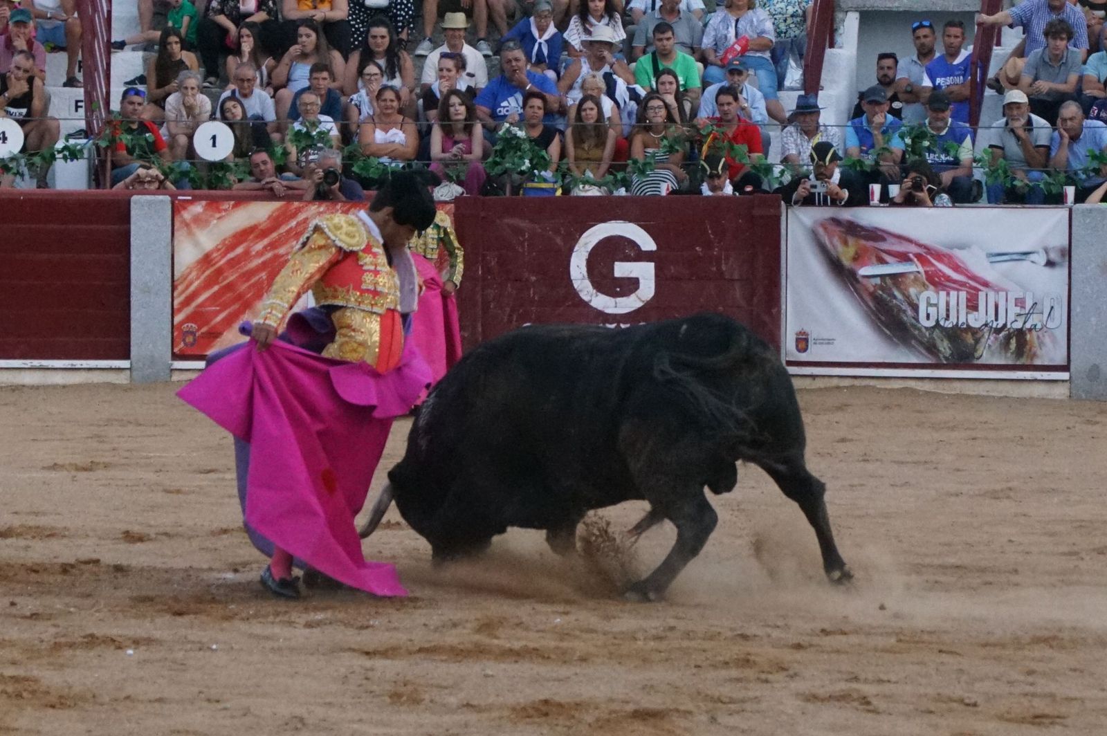 corrida-rejones-guijuelo-32