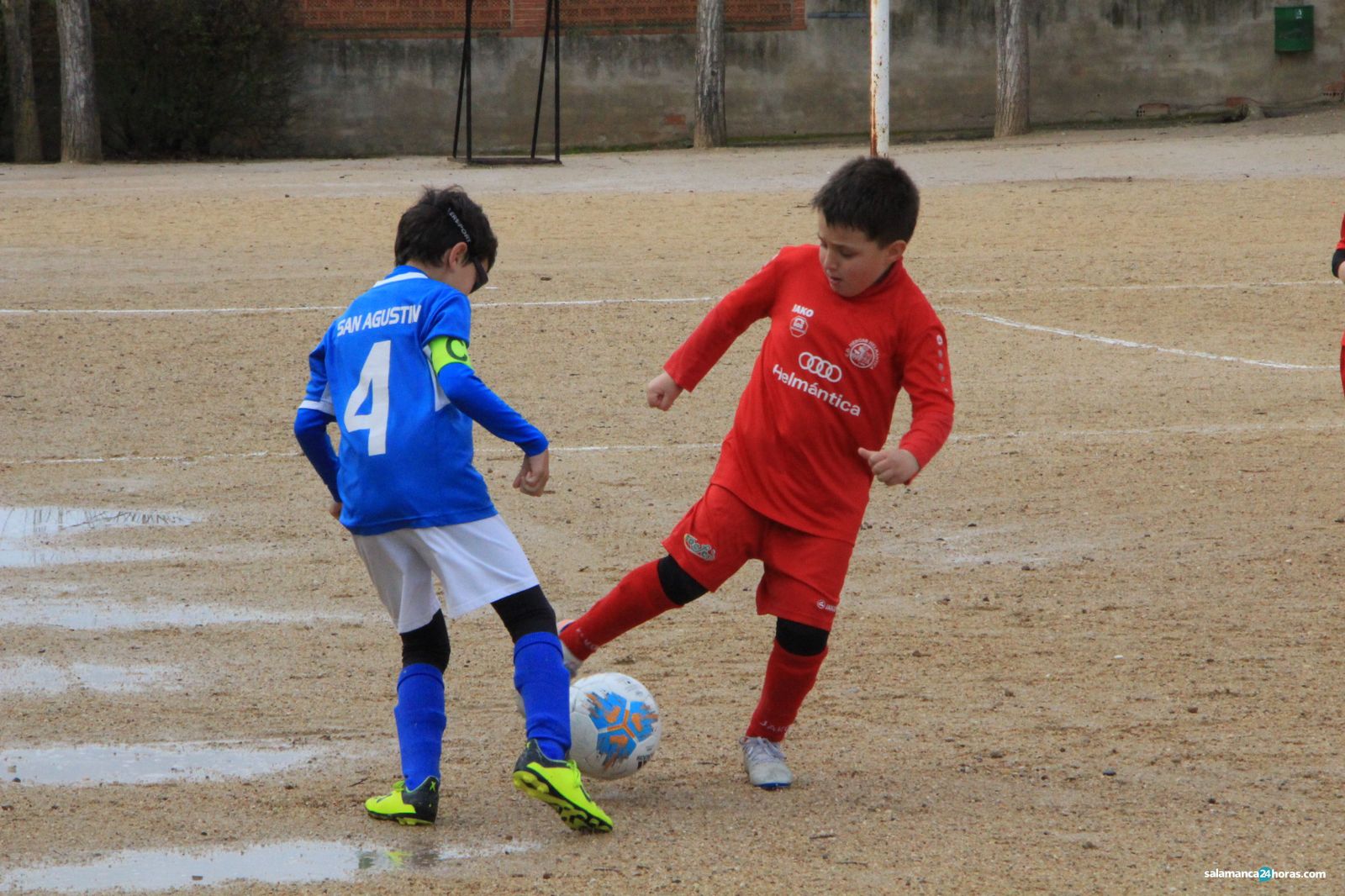 Fútbol base prebenjamin 08 02 2020 (13)