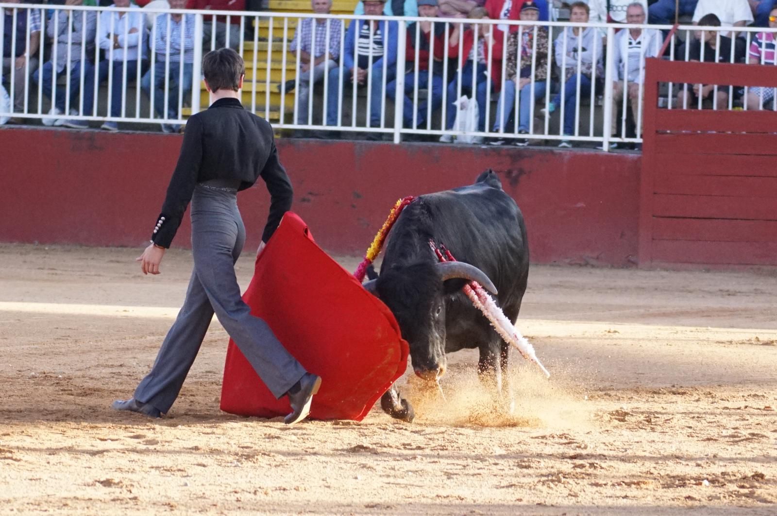 whatsapp-image-2024-09-06-at-20-54-18-3