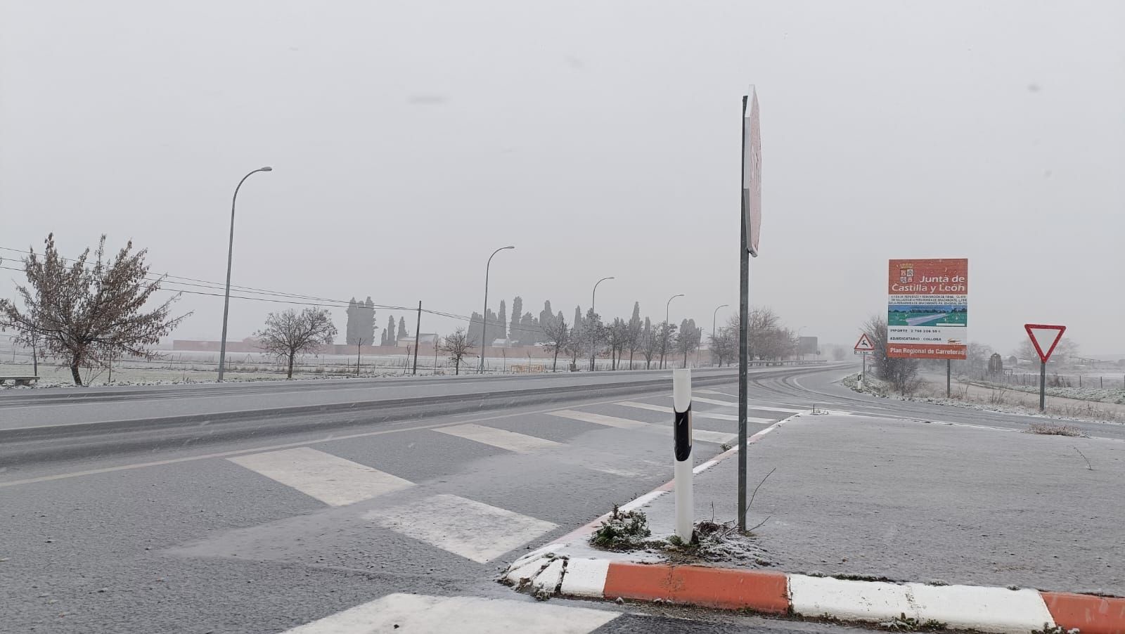 whatsapp-image-2024-01-19-at-15-54-46