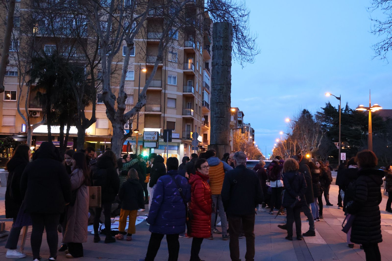 marcha-del-8m-en-zamora-1