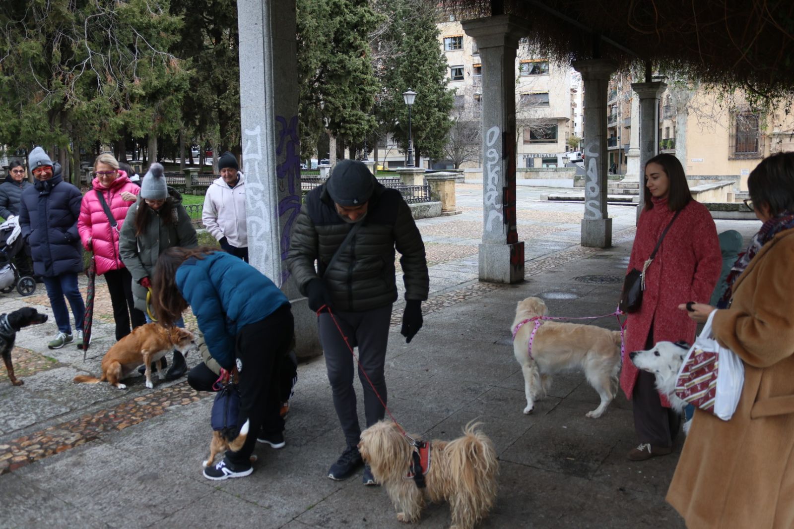 Bendición de los animales por San Antón en el Campo de San Francisco