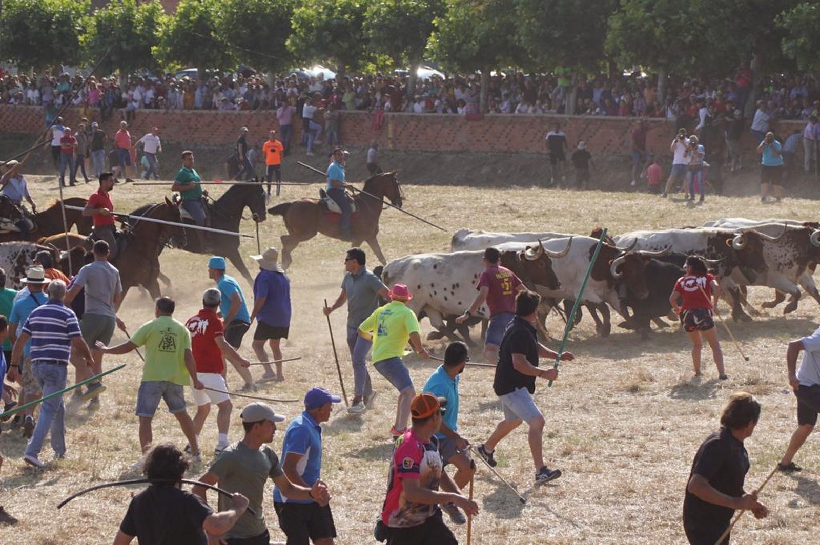 espantes-de-fuentesauco-16