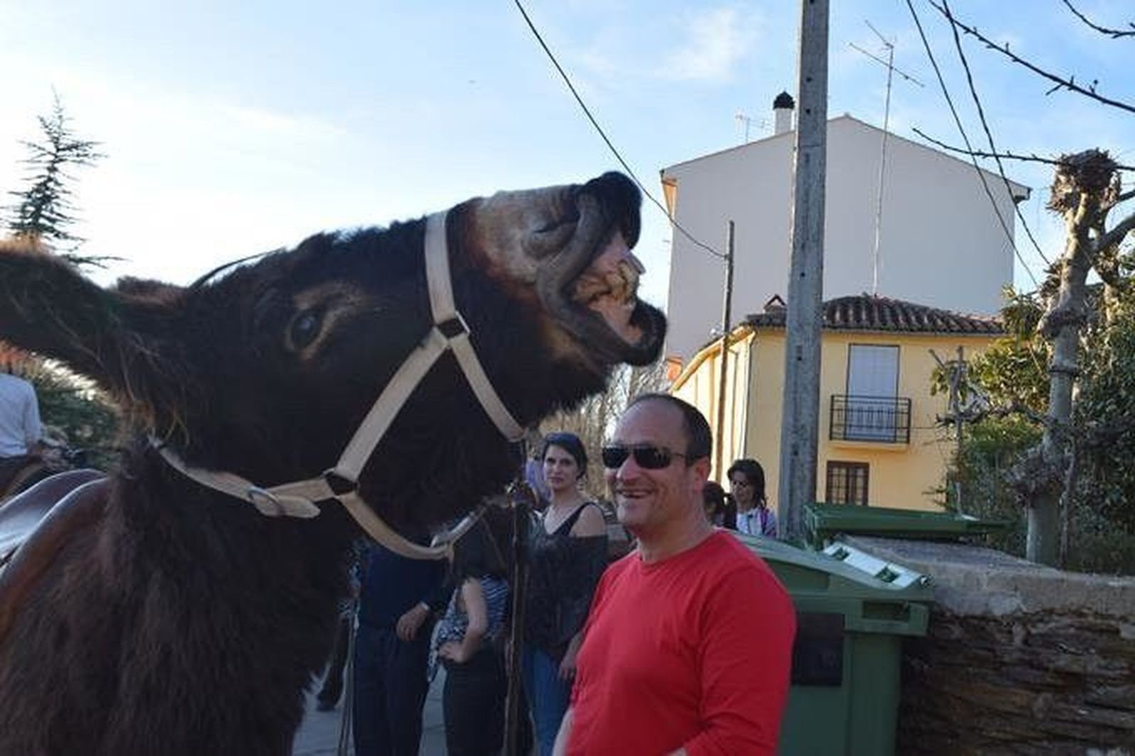 Ruta senderista de burros zamoranos-leoneses entre San Vitero y San Juan del Rebollar