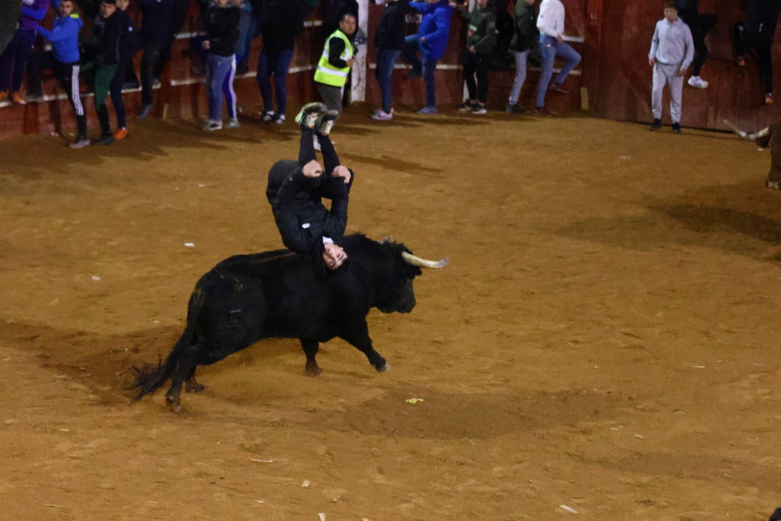 Dos toros de Brazuelas para el arranque del martes, el último día del Carnaval del Toro