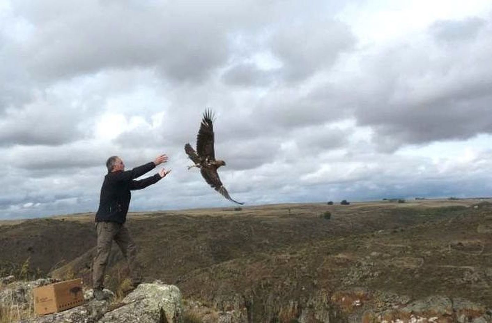 La conservación de aves rapaces en el Duero, objetivo del proyecto Rupis