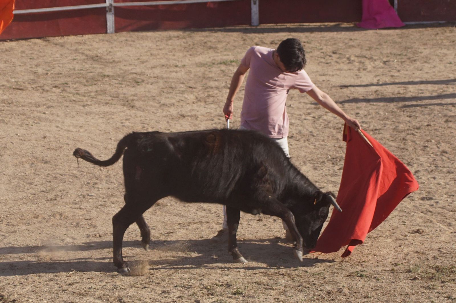 capea-fiestas-de-carrascal-de-barregas-29