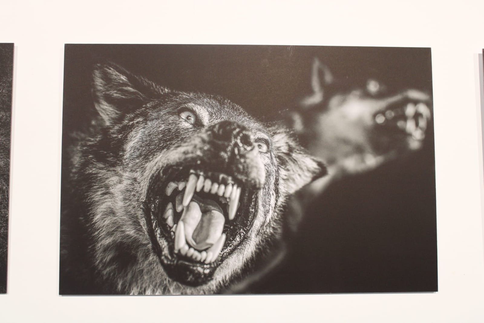 exposicion-transversalidades-fotografia-sin-fronteras-16