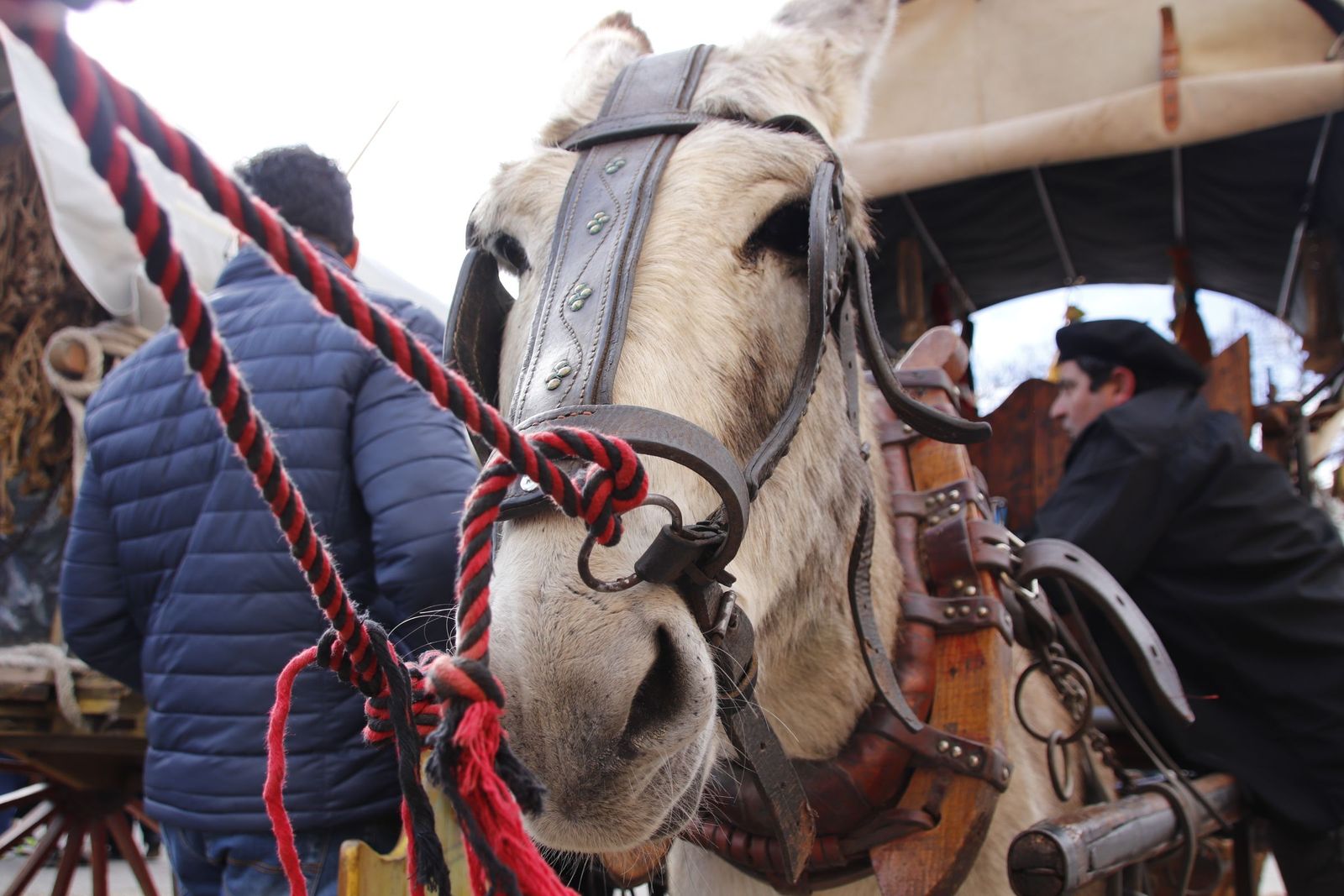 20220219131012-mg-8028