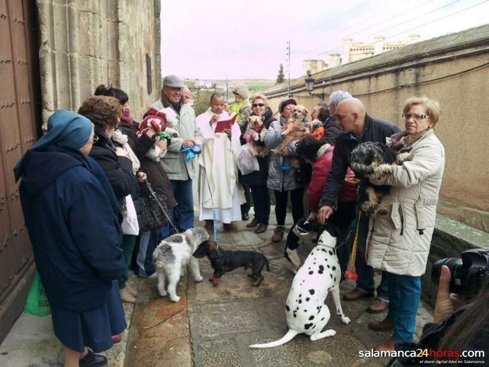 Los albenses cumplen con la tradición de bendecir sus animales