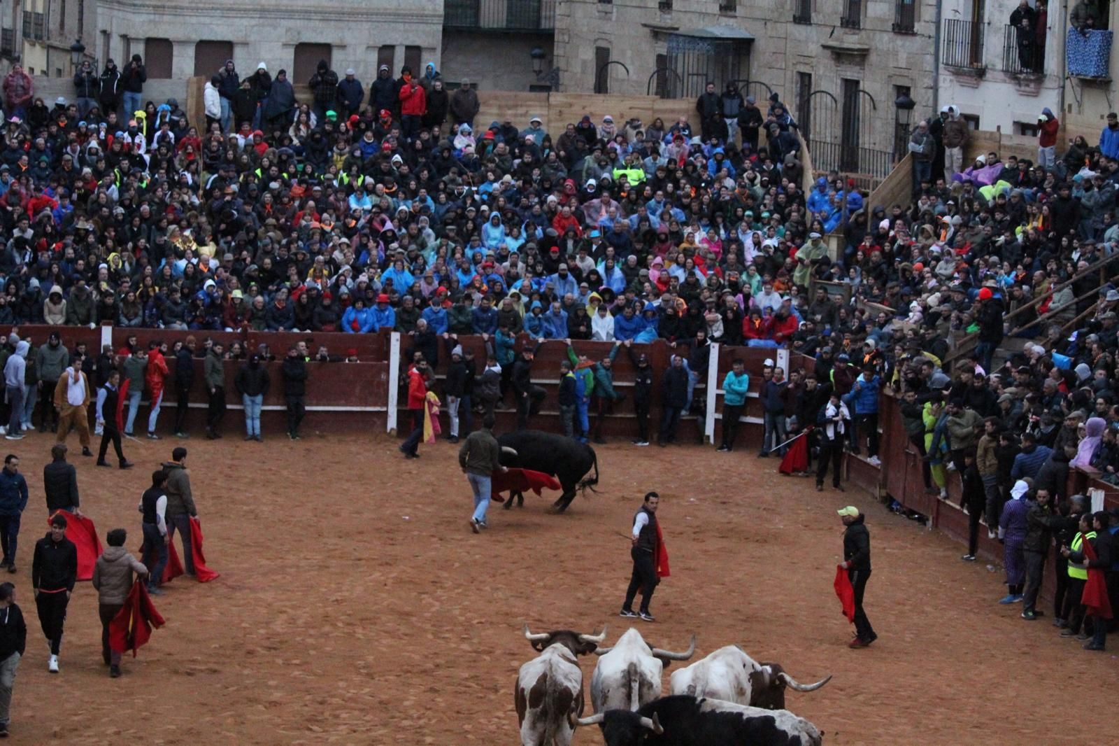 ambiente-y-capea-vespertina-sabado-de-carnaval-en-ciudad-rodrigo-2025-fotos-belen-hurtado-18