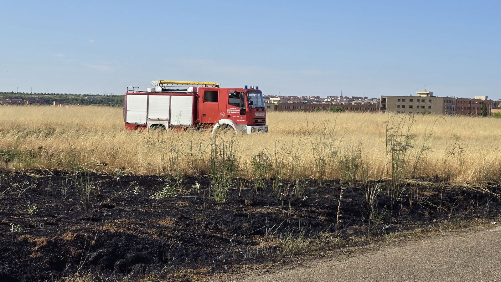 Incendio de pasto en la calle Félix Candela (Aldeatejada)