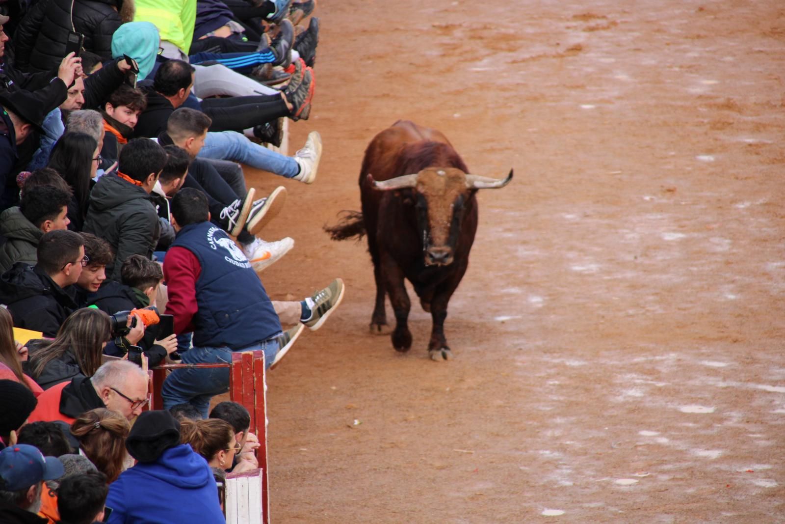 encierro-del-martes-de-carnaval-en-ciudad-rodrigo-1