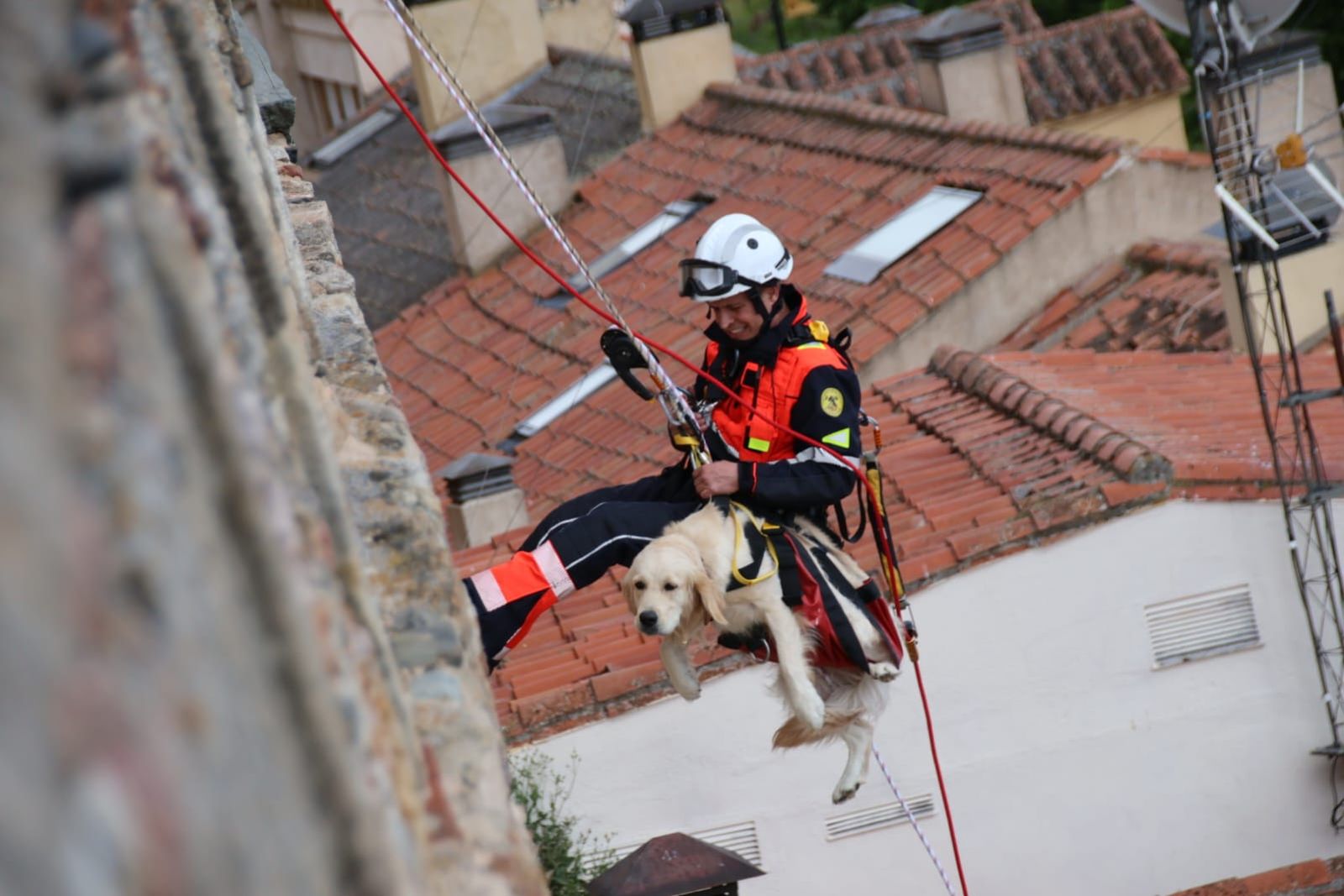 los-bomberos-rescatan-a-un-perro-en-el-jardin-botanico-de-salamanca-fotos-andrea-m-5