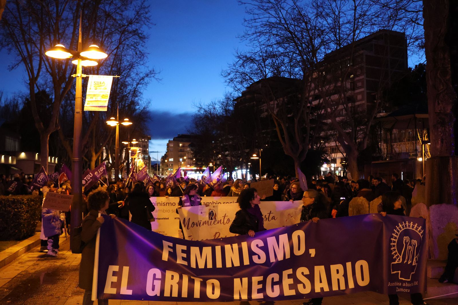 marcha-del-8m-en-zamora-19