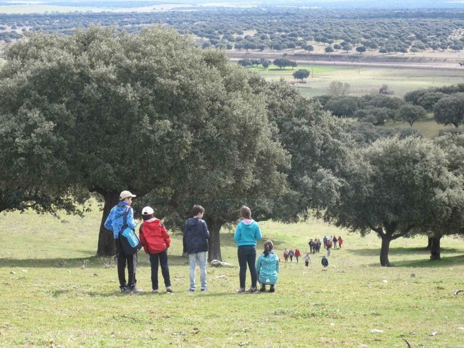 Los colegios Padre Manjón, Caja de Ahorros y Beatriz Galindo ganan el concurso fotográfico Vive La Dehesa