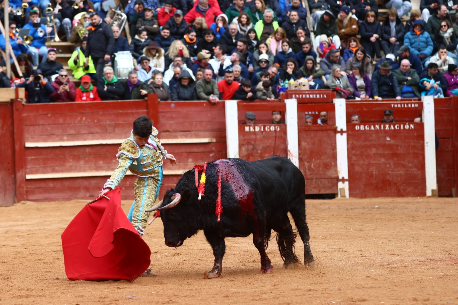 Novillada con picadores de lunes en el Carnaval del Toro de Ciudad Rodrigo 2026