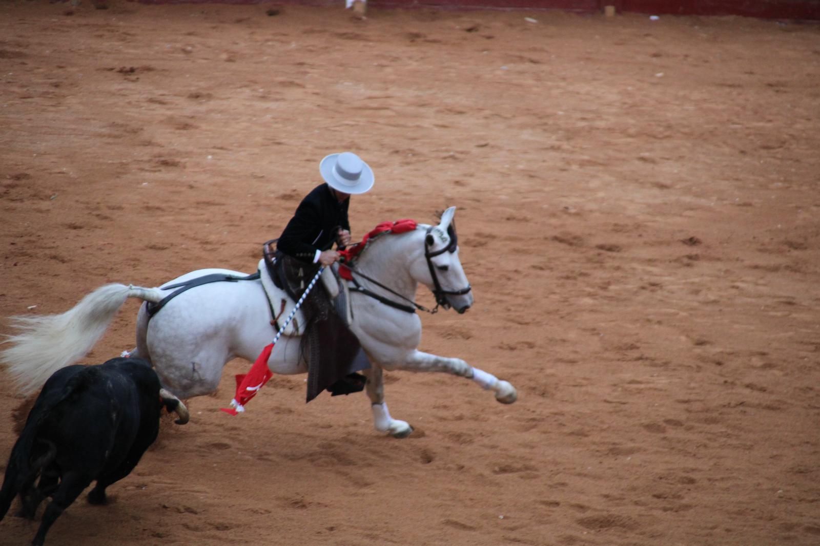 whatsapp-image-2025-03-02-at-18-55-53